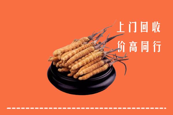 高价求购：马鞍山市和县回收散虫草