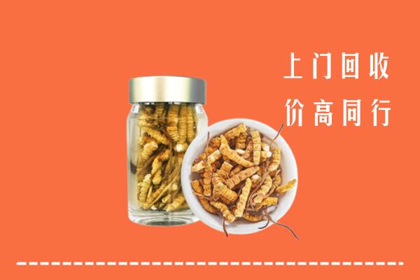 马鞍山市和县回收冬虫夏草