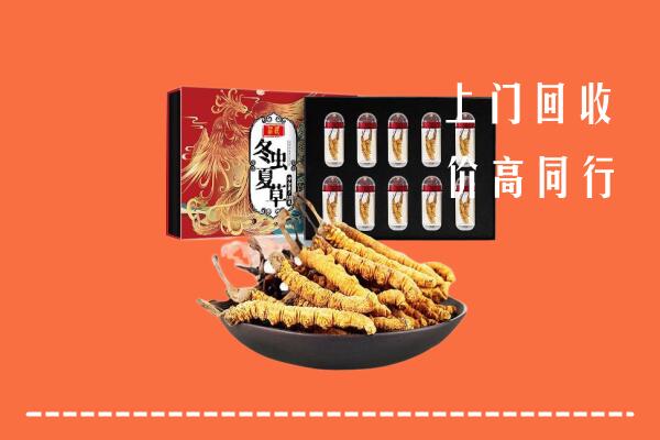 马鞍山市和县回收虫草